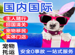 温州龙湾航空快运国际宠物托运 【国